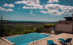 Rogachevo Dream House